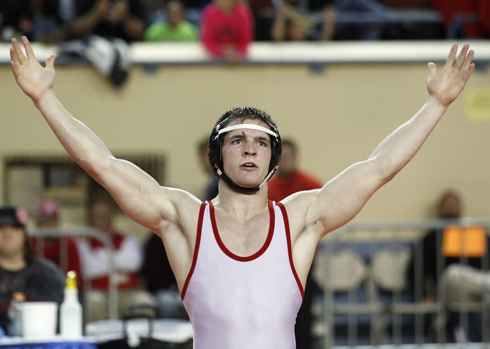 Will Steltzlen, Collinsville, 2014